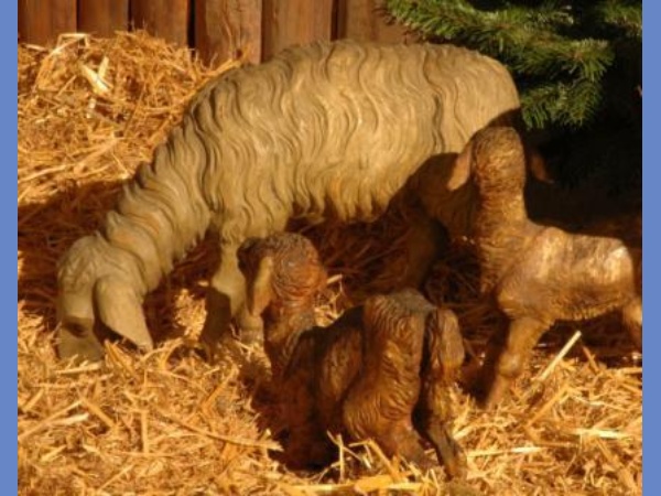 17 Krippe Detail Tiere