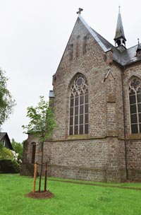 Langhaus und Querhaus - St. Margareta Olpe