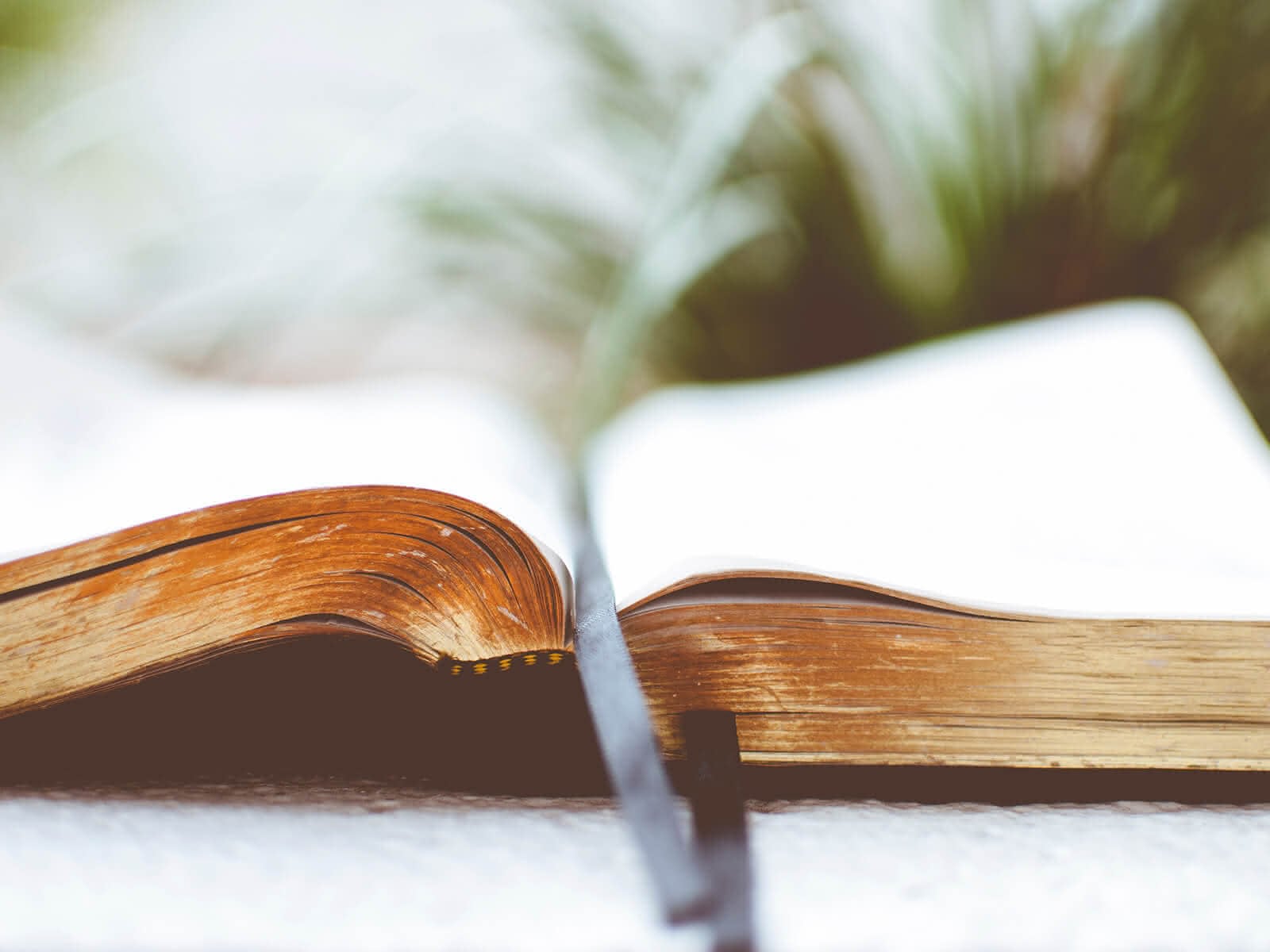 Aufgeschlagenes Buch